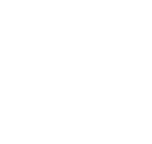 aiconsult logo white